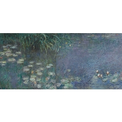 The Water Lilies: Morning