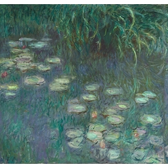 The Water Lilies: Morning