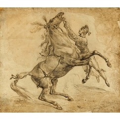 Horse held at the bridle, bending up