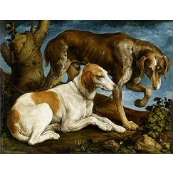 Two hunting dogs attached to a stump