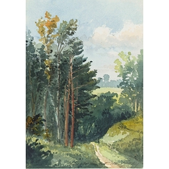 Paysage avec chemin descendant, Bois Guillaume (près de Rouen)