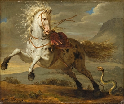 Horse frightened by a snake
