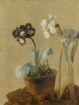 Still life of narcissus and stachys byzantina