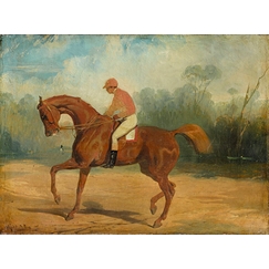 Racehorse and his jockey