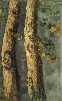 Two tree trunks with foliage and ivy branch