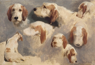 Study of hunting dogs; 8 sketches
