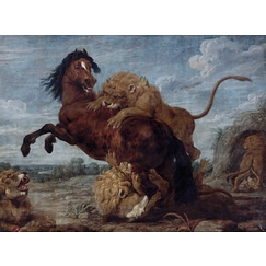 Cheval attaqué par des lions