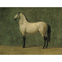 Cheval de Napoléon 1er \"le Familier\"