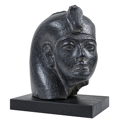 Head of Tutankhamun