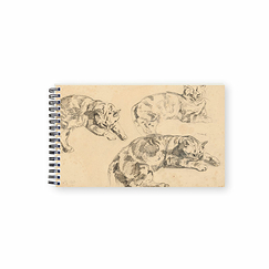 Sketch Book Delacroix - Three Studies of Lying Cats