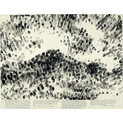 Blind Time VI, (Temps aveugle VI) - Robert Morris