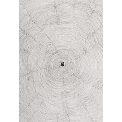 Propagazione, 2009 - Giuseppe Penone